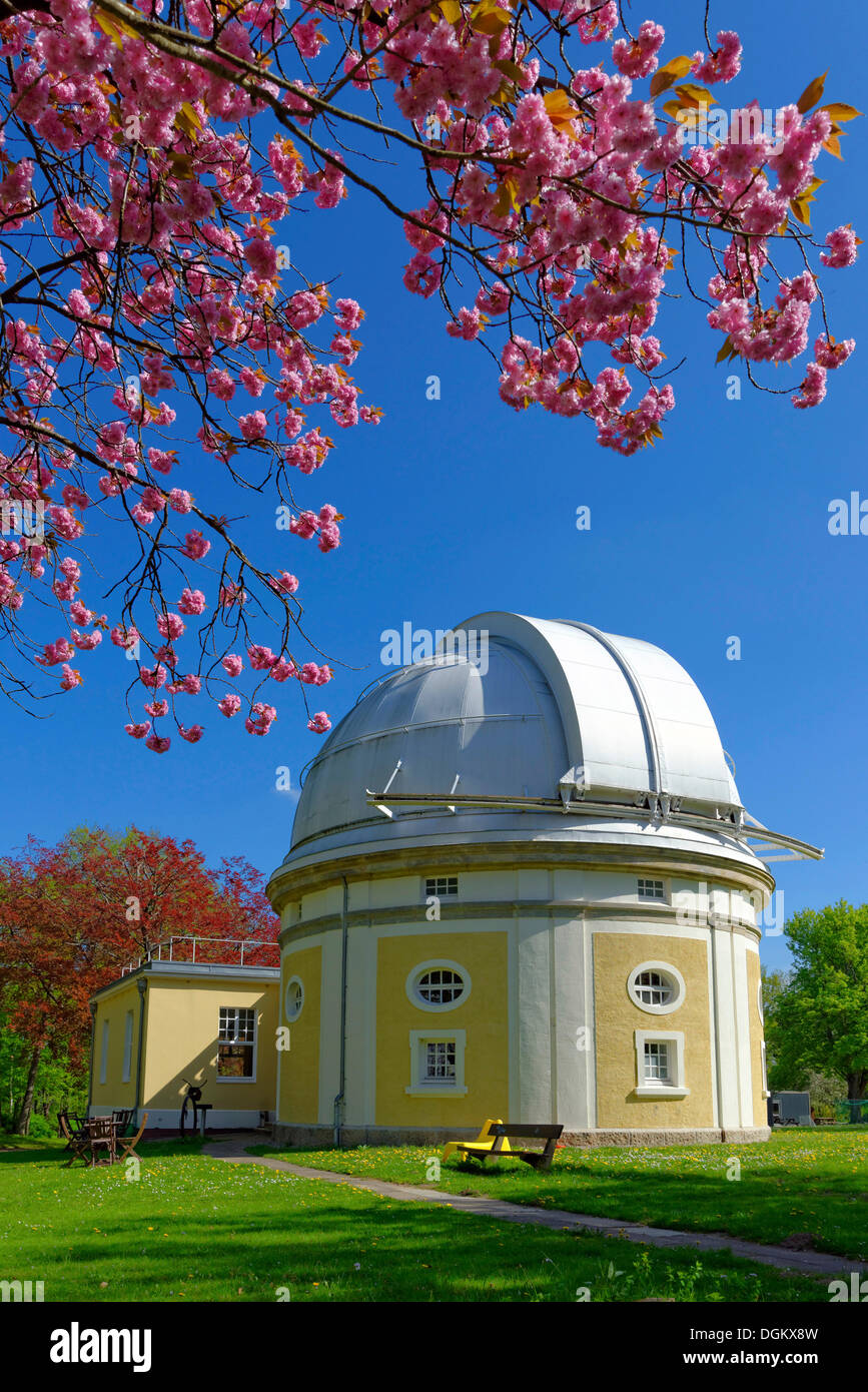 Bergedorf Observatory with flowering fruit trees, Hamburg, Hamburg, Germany Stock Photo