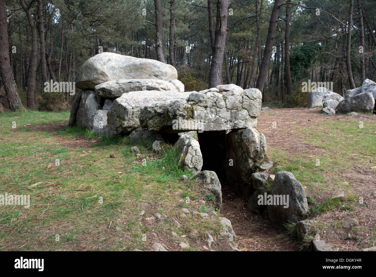 Dolmen, portal tomb, portal grave, in a wooded area in Mané-Kerioned, Carnac, Département Morbihan, Brittany, France, Europe Stock Photo