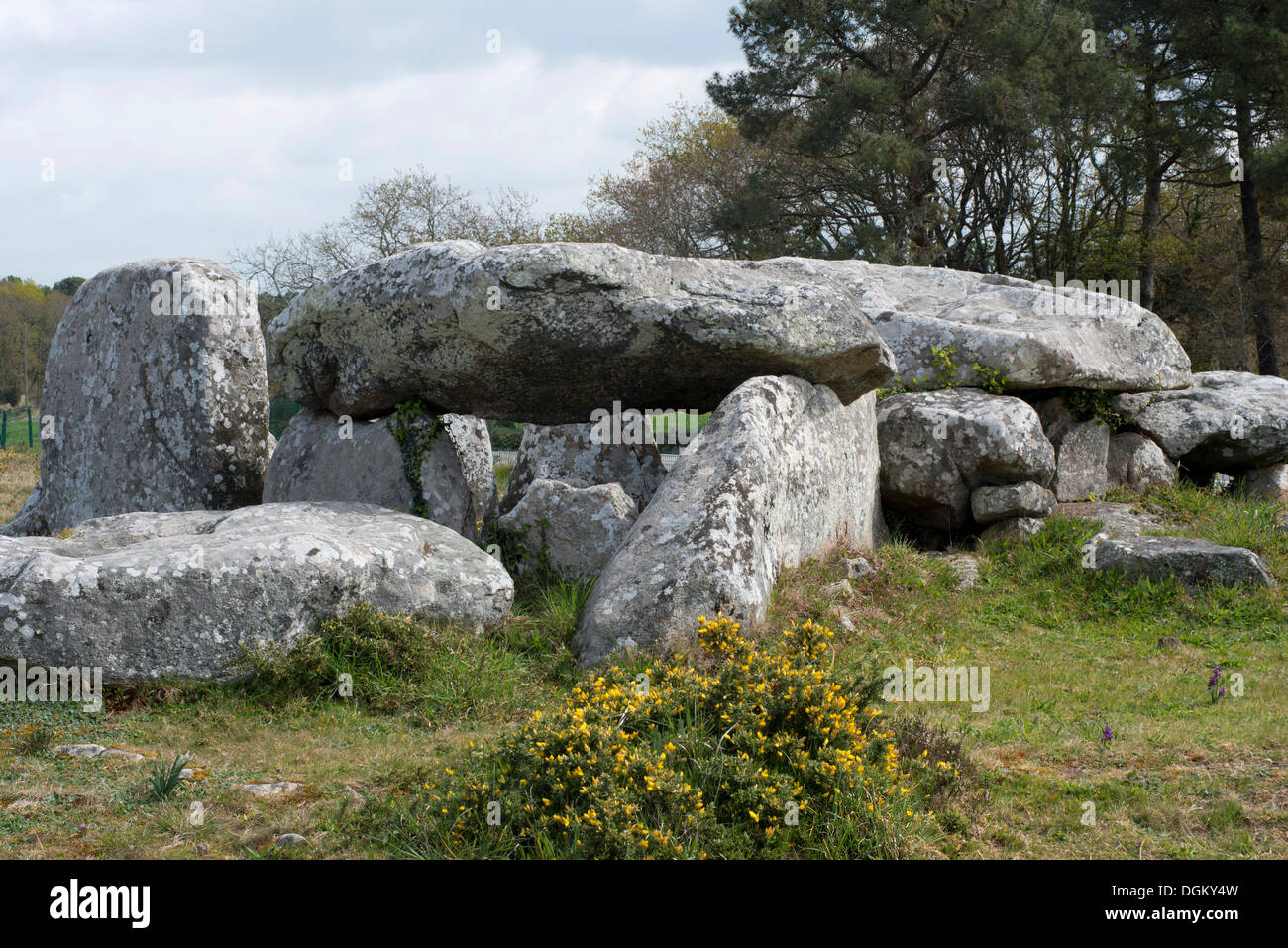Dolmen, portal tomb, portal grave, at Carnac, Département Morbihan, Brittany, France, Europe Stock Photo