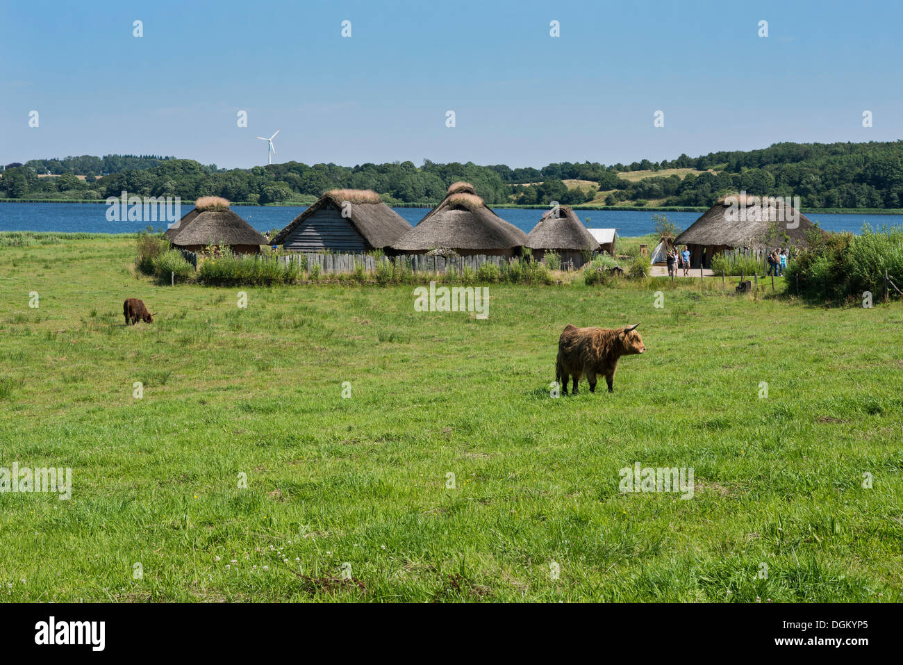 Thatched cottages beside a lake, pasture and cattle at the front, Hedeby Viking Museum, open-air museum, Busdorf Stock Photo