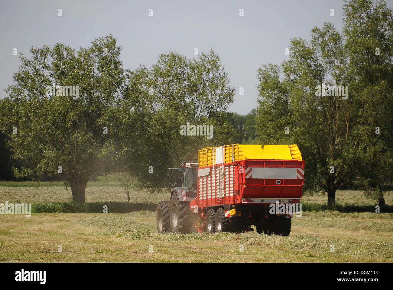 Tractor with a trailer, hay harvest Stock Photo Alamy