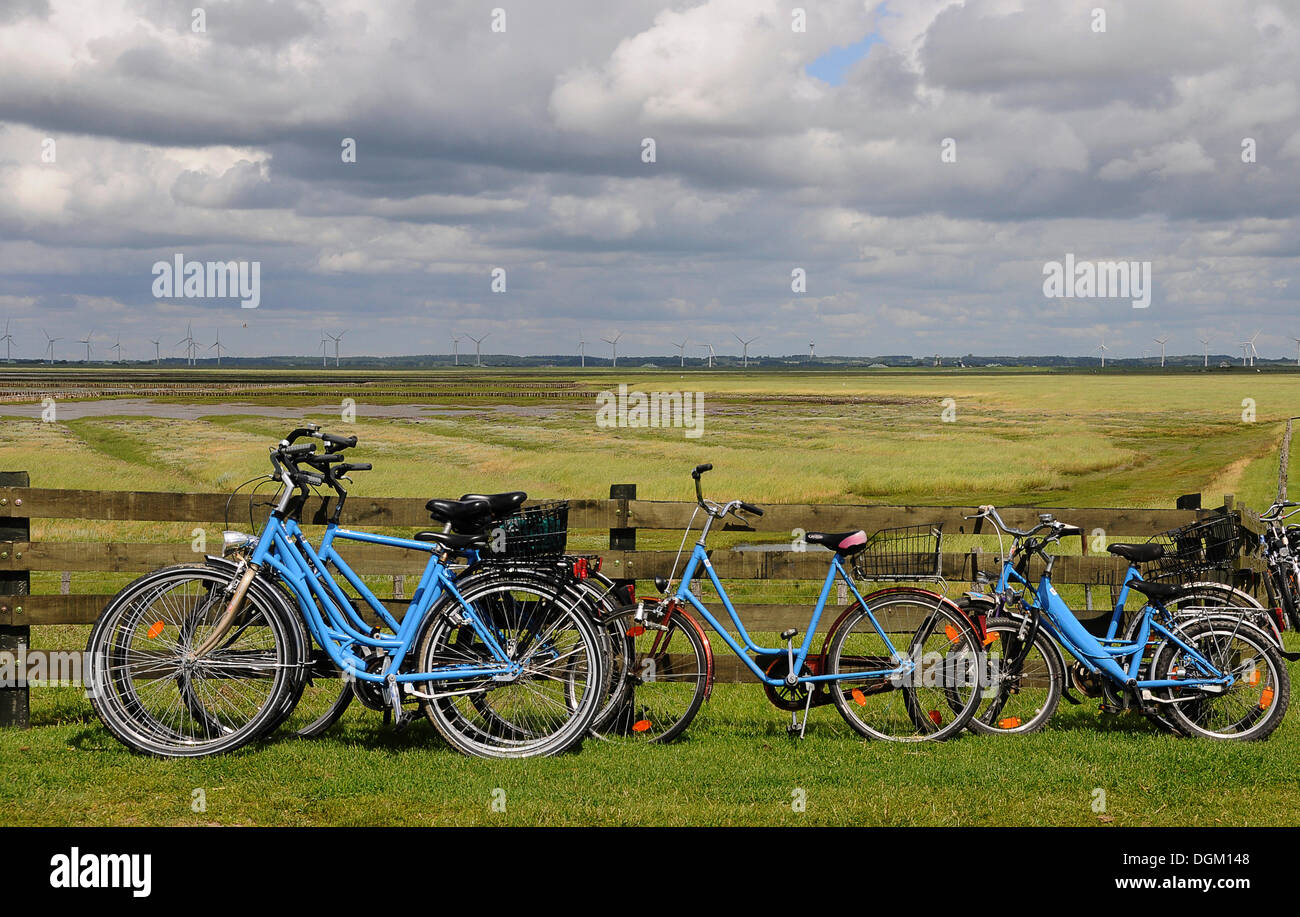 Bicycles on the Hamburger Hallig, North Frisia, Schleswig-Holstein Stock Photo