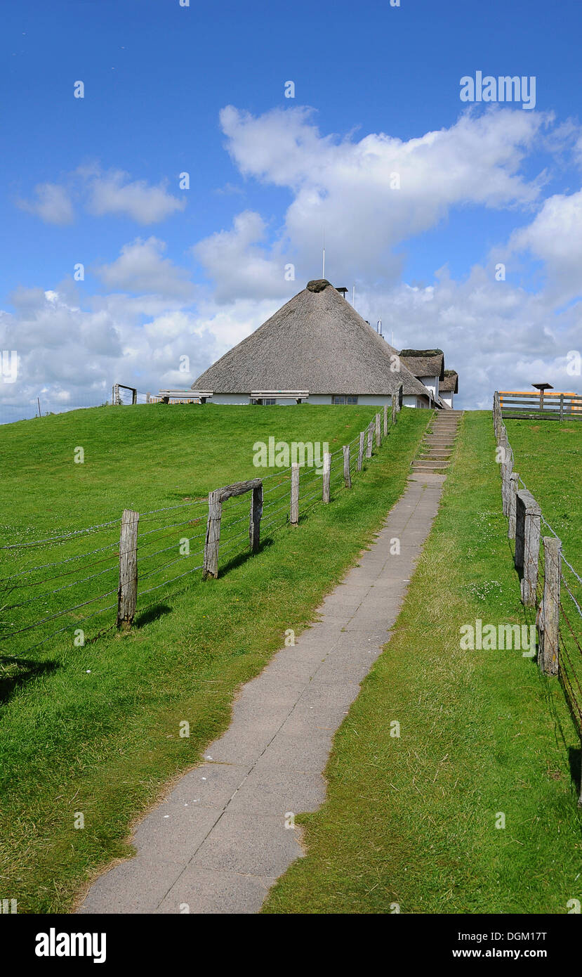 Thatched house, Hamburger Hallig, North Frisia, Schleswig-Holstein, PublicGround Stock Photo