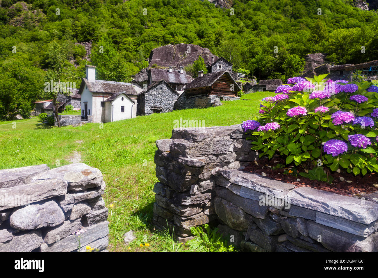 View of the hamlet of Sabbione with chapel, Bavona Valley, Val Bavona, Maggia Valley, Valle Maggia, Ticino, Switzerland, Europe Stock Photo