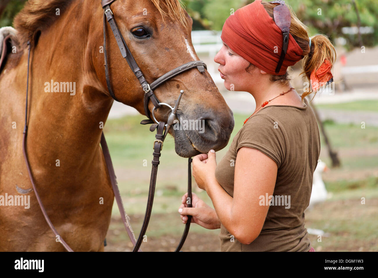 A woman calming her horse Stock Photo