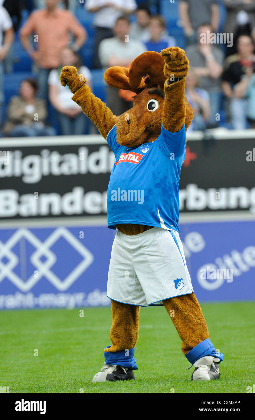 TSG 1899 Hoffenheim football club mascot, moose Hoffi, cheering Stock Photo
