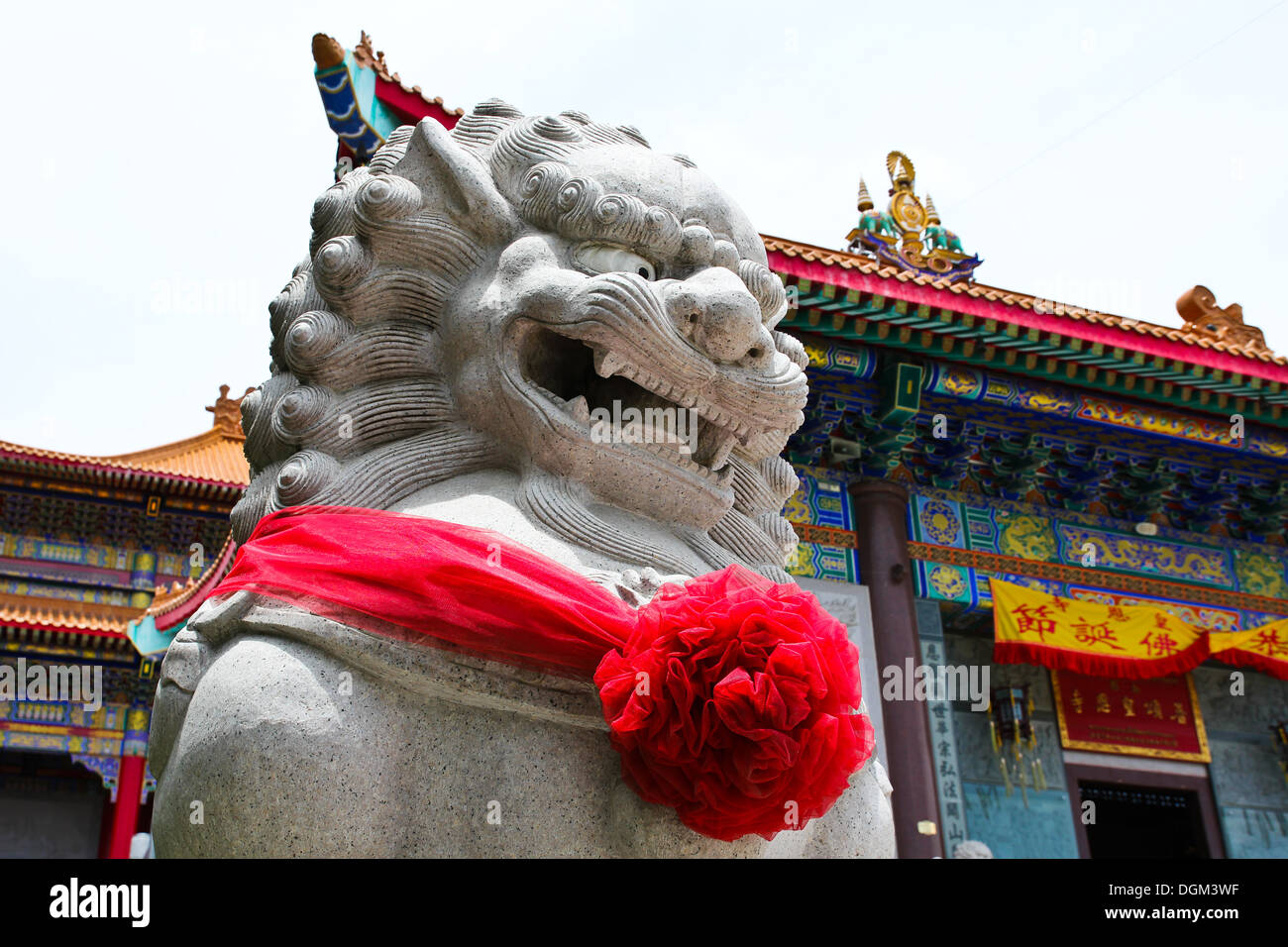 Chinese Lion Stone Sculpture in the Chinese Temple in Nonthaburi, Thailand. Stock Photo