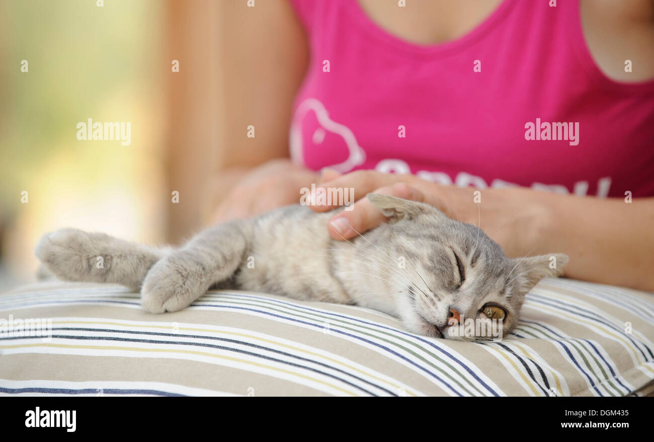 Like to be petted hires stock photography and images Alamy