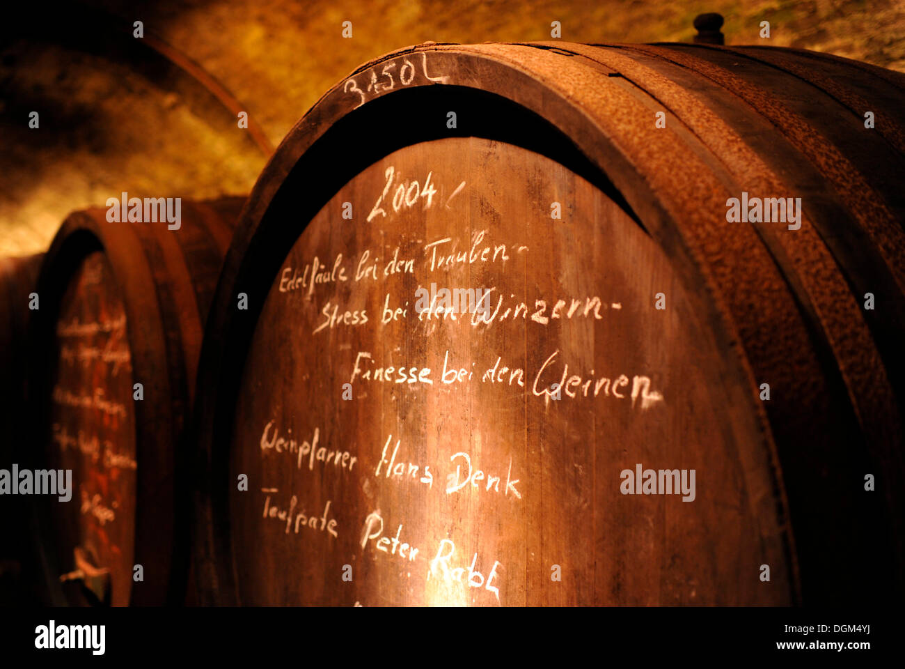 Old wine barrels in a wine cellar, Loisium World of Wine, Langenlois, Kamptal, Wachau, Lower Austria, Austria, Europe Stock Photo