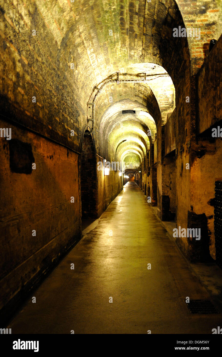 World's longest corridor in a wine cellar in limestone, Moet et Chandon winery, LVMH luxury goods group Stock Photo