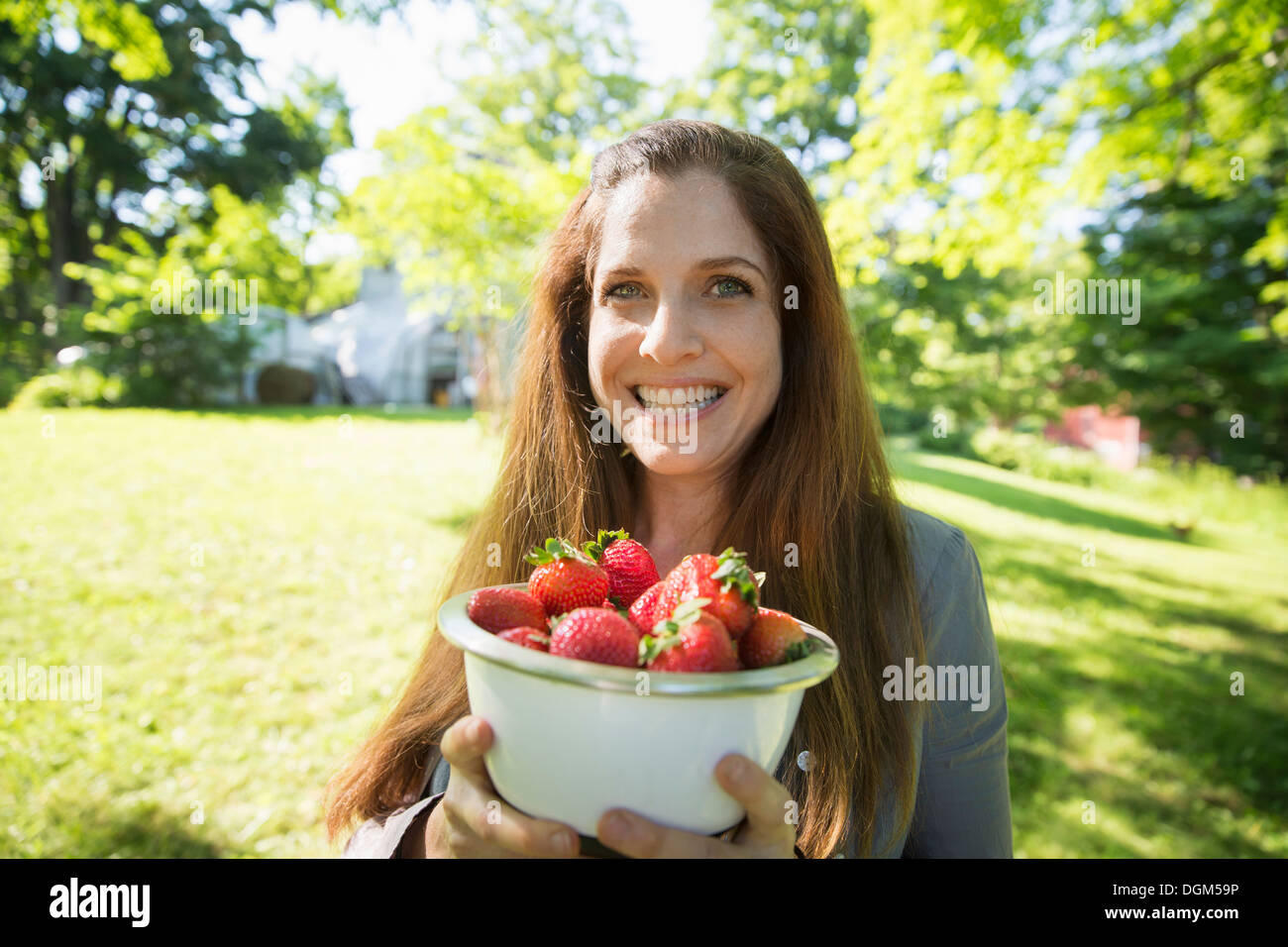 On the farm. A woman carrying a bowl of organic fresh picked strawberries. Stock Photo