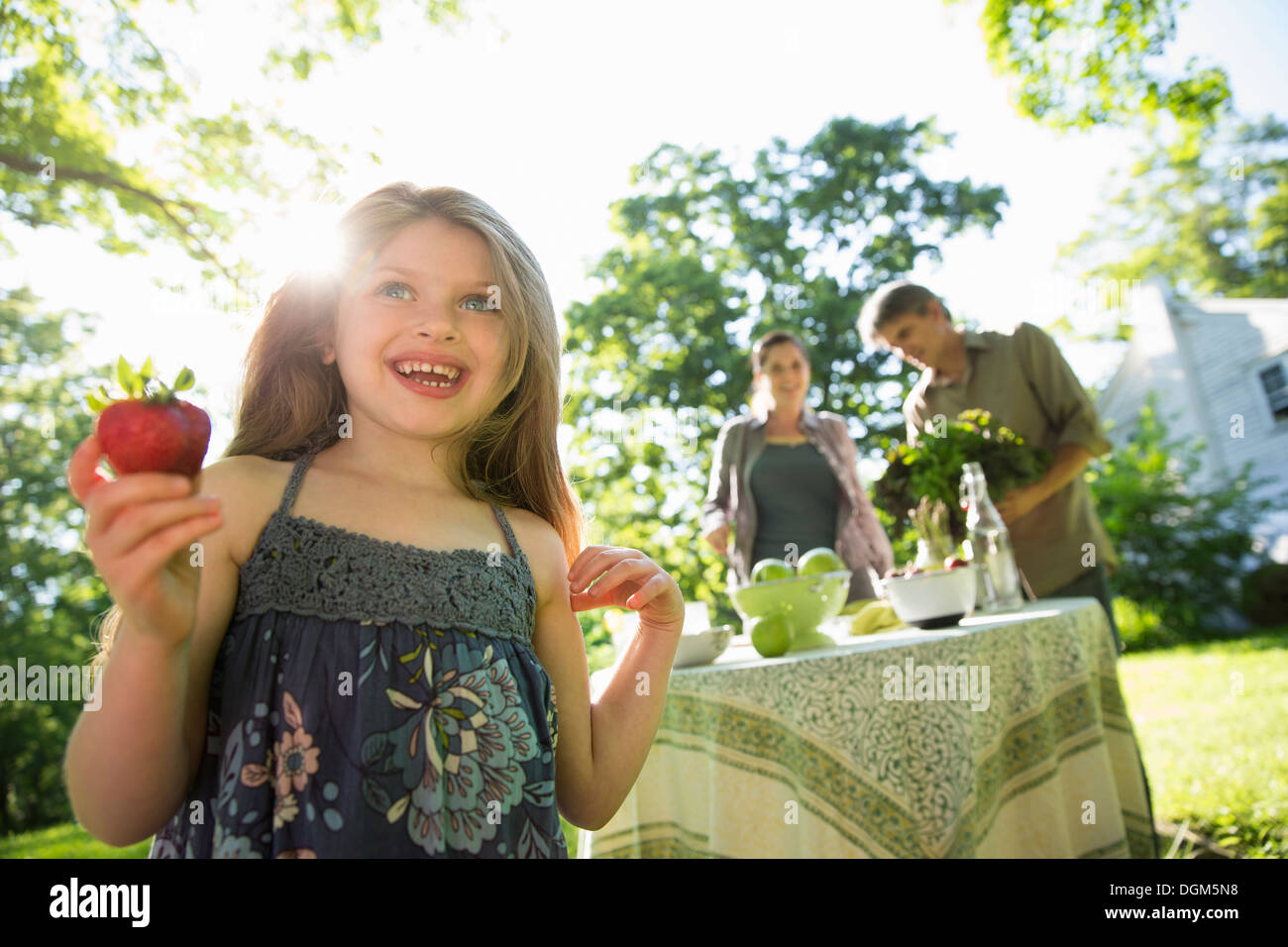 On farm Children adults together young girl holding large fresh organically produced strawberry fruit Two adults beside round Stock Photo