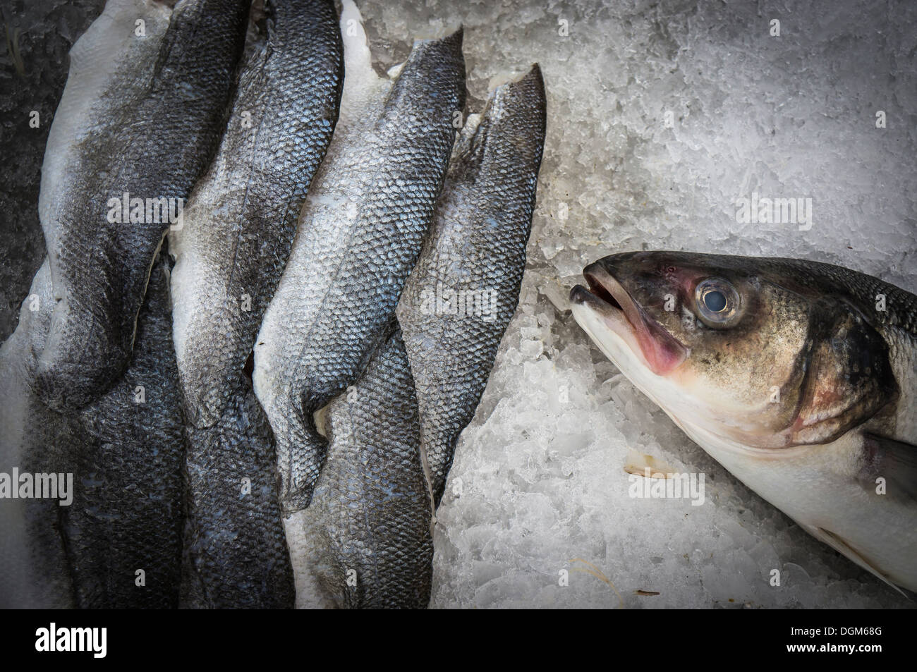Herring scales hires stock photography and images Alamy