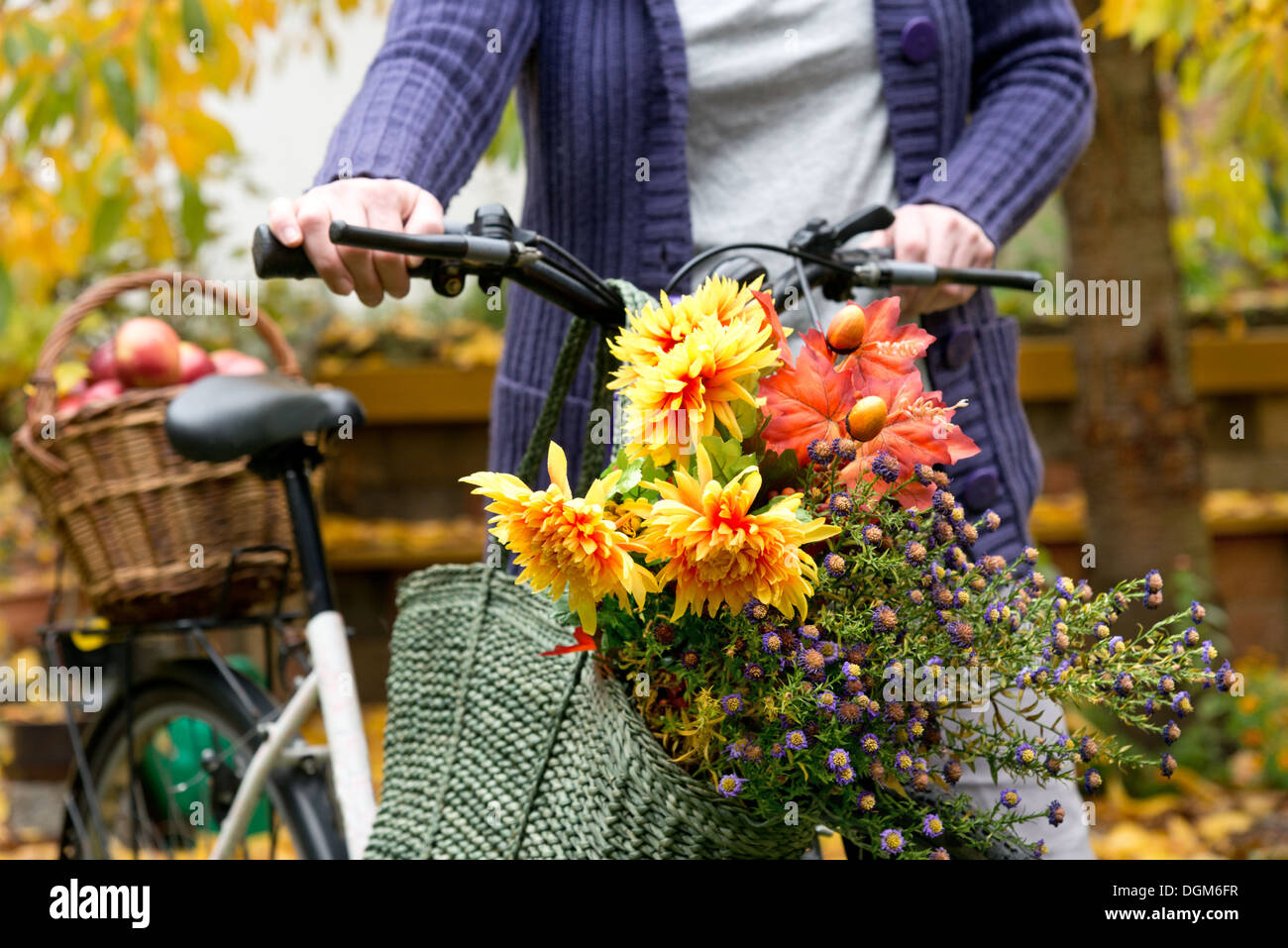 Cycle with flower basket hi-res stock photography and images - Alamy