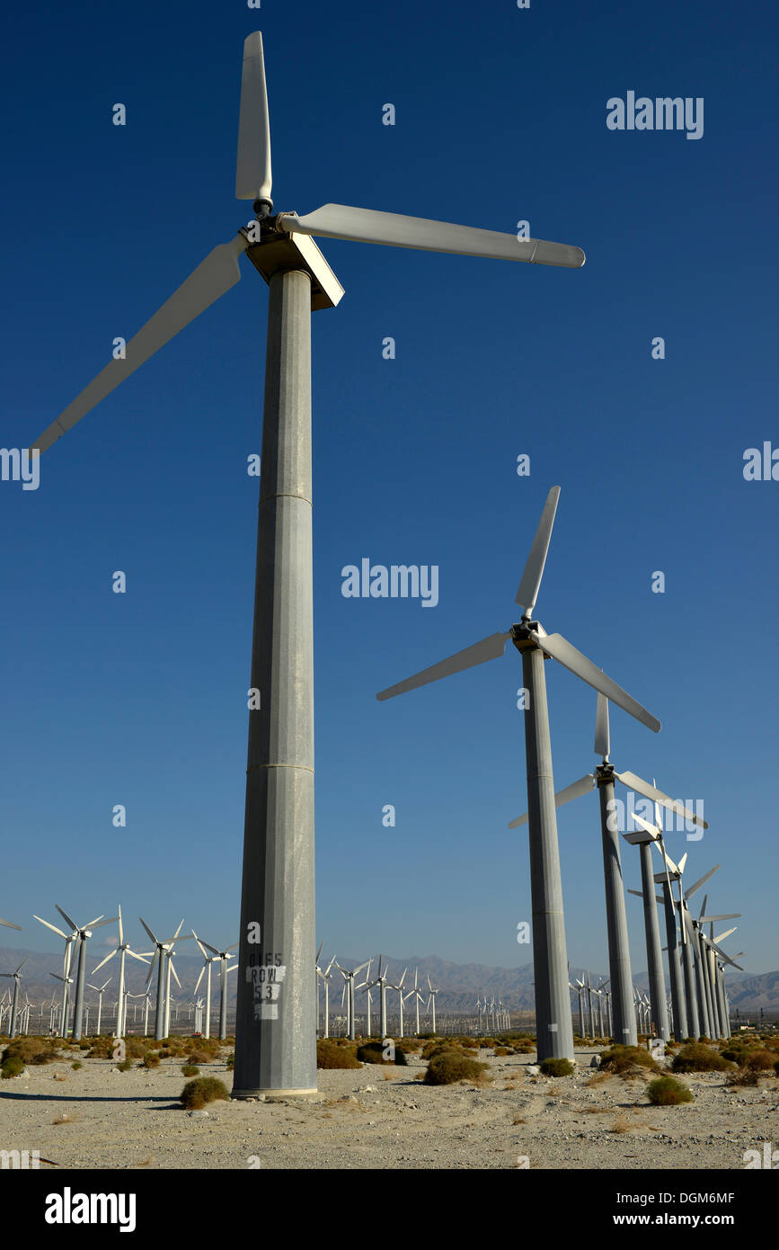 Wind energy, San Gorgonio Pass Wind Farm, operated by ExxonMobil, one of the three largest wind farms in the United States Stock Photo