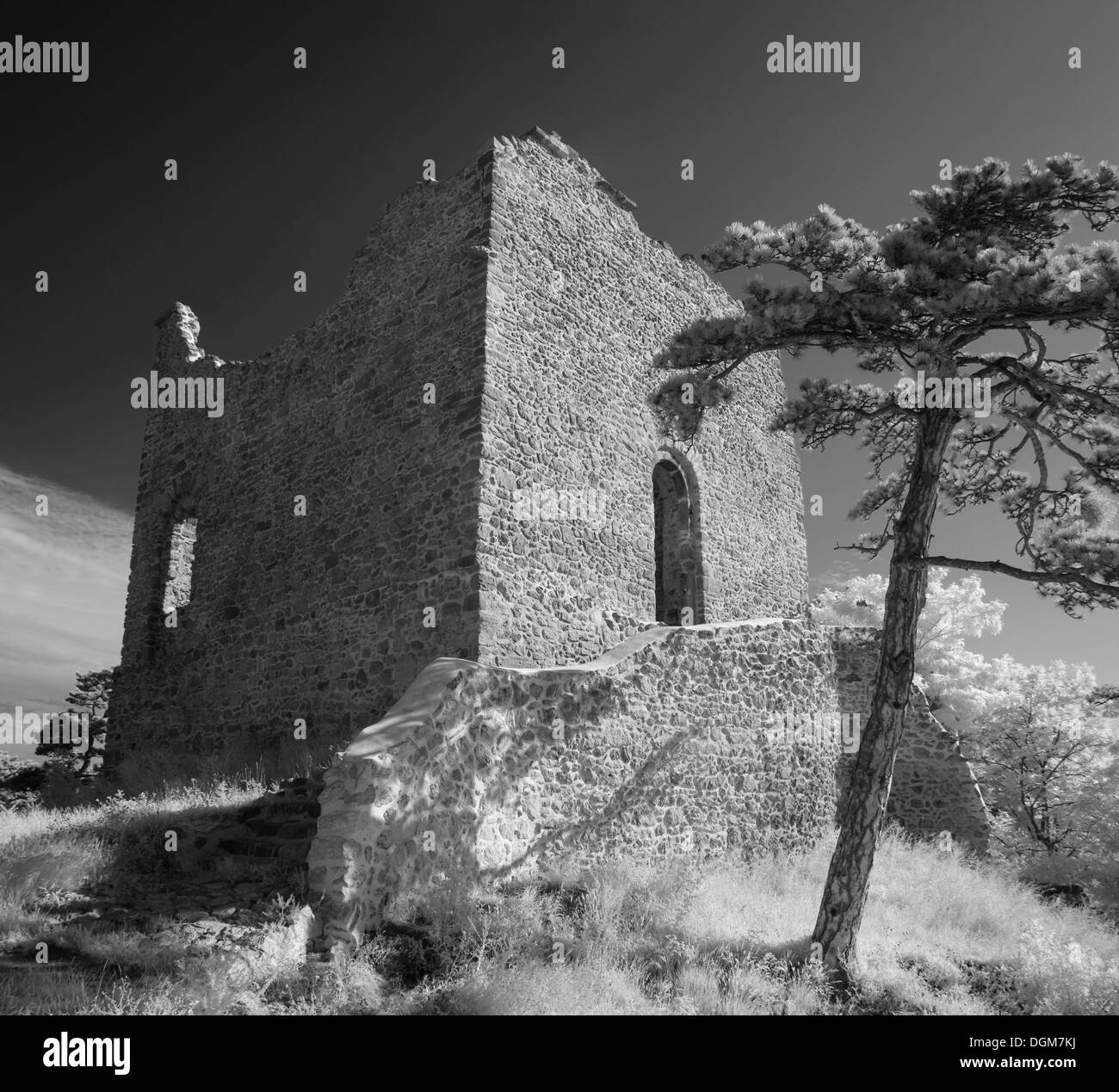 Burg Moedling castle, infrared photo, Moedling, Lower Austria, Austria, Europe Stock Photo