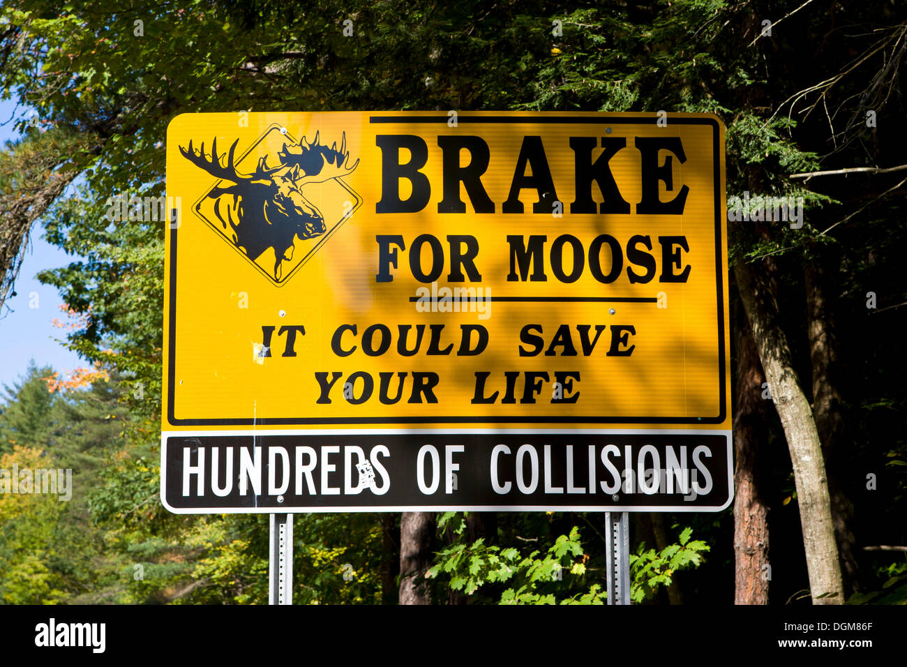 Moose warning road sign hires stock photography and images Alamy