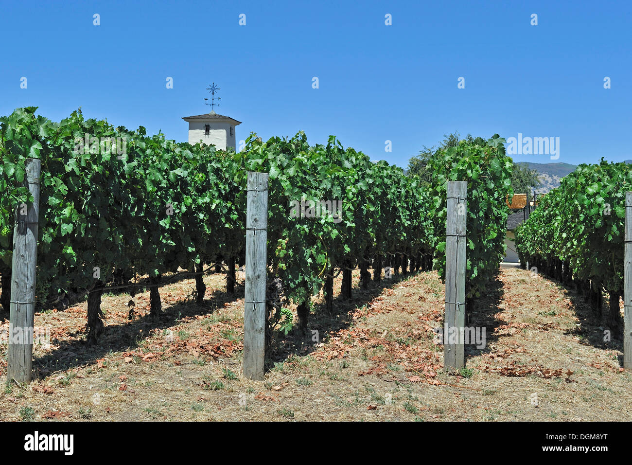 Valley view winery hi-res stock photography and images - Alamy
