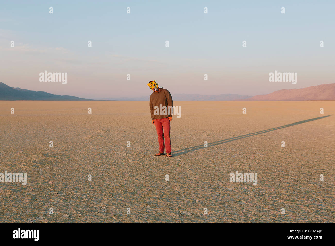 The landscape of the Black Rock Desert in Nevada. A man wearing an animal mask. Casting a long shadow on the ground. Stock Photo