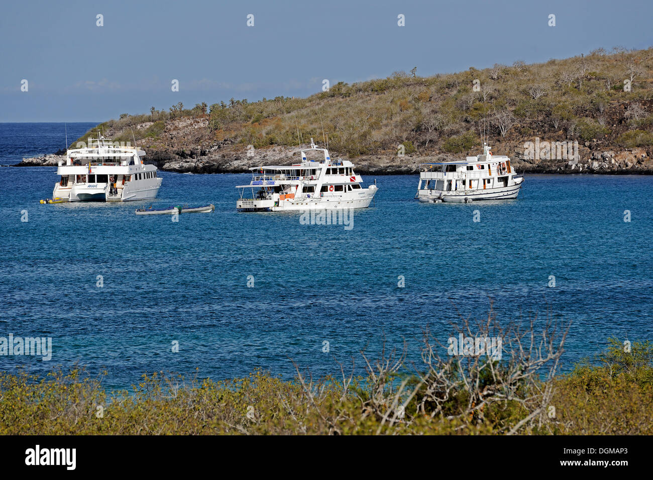 Cruise shops of Santa Fe Island, Isla Santa Fe, Galapagos, UNESCO World