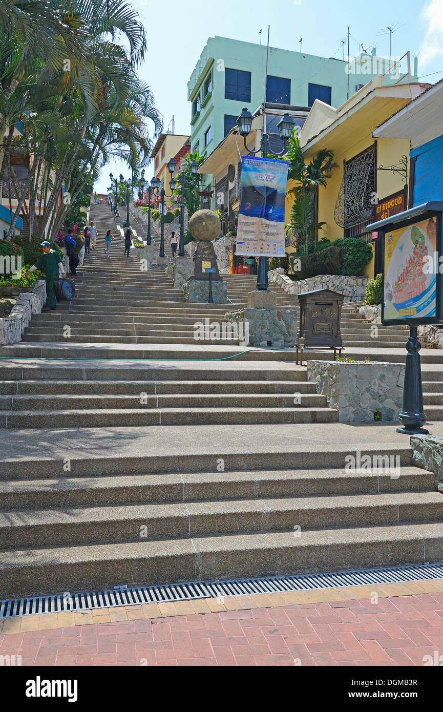 Stairs, Escalantina Diego Noboa in the Las Penas neighbourhood, for the climb to Cerro Santa Ana, Guayaquil, Ecuador Stock Photo