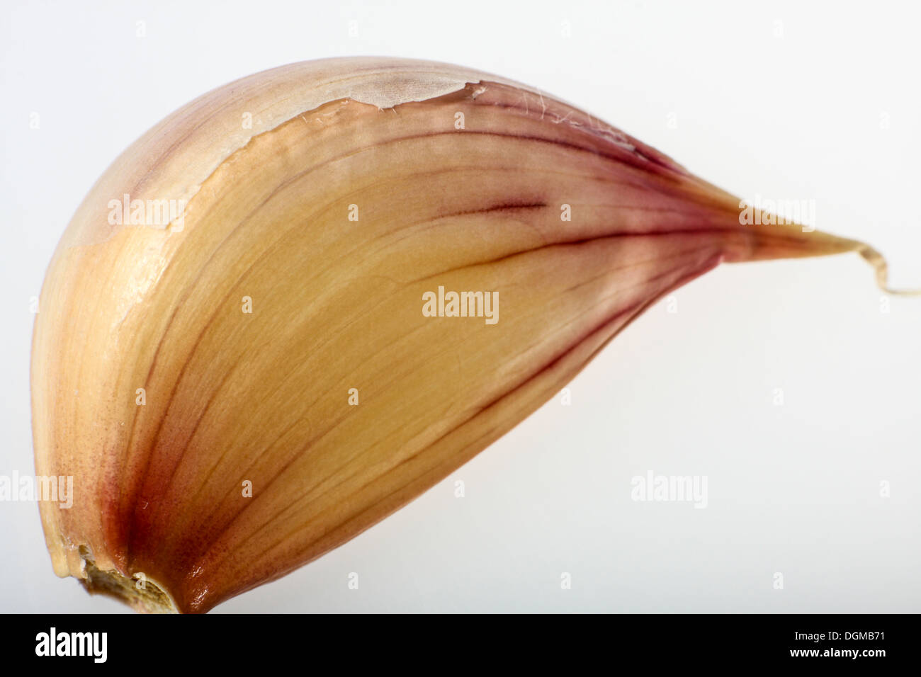 Close up of Garlic clove on white background Stock Photo - Alamy