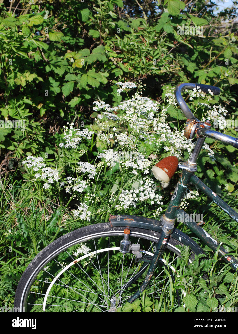 Abandoned bike in Amsterdam Stock Photo Alamy
