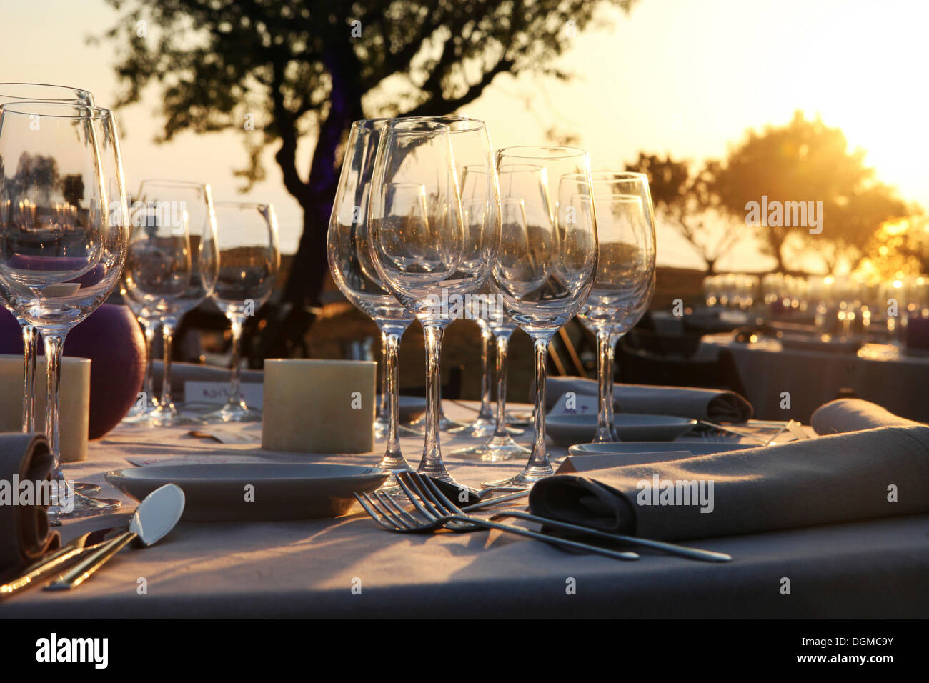 Laid table at a wedding reception, in an olive orchard at sunset, Majorca, Spain, Europe Stock Photo