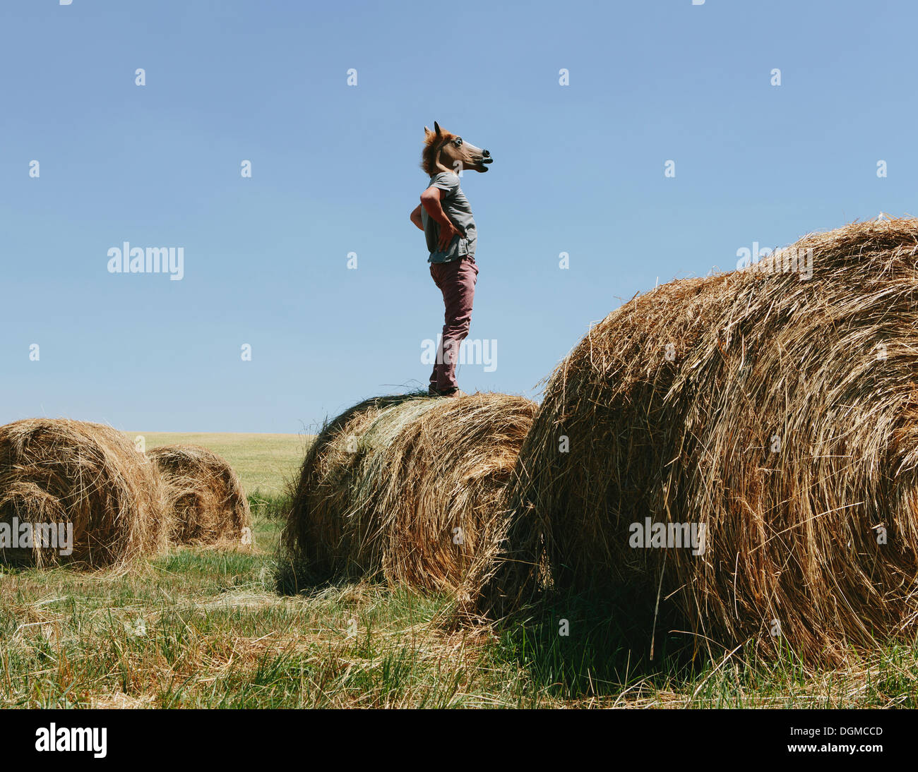 A man wearing a horse mask, standing on a hay bale, looking out over the landscape. Stock Photo