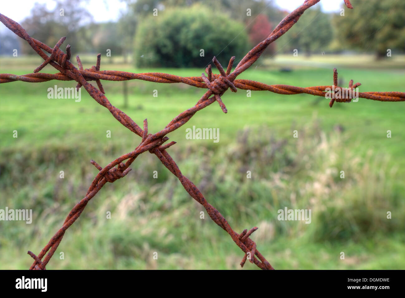 Iron wire fence hi-res stock photography and images - Alamy