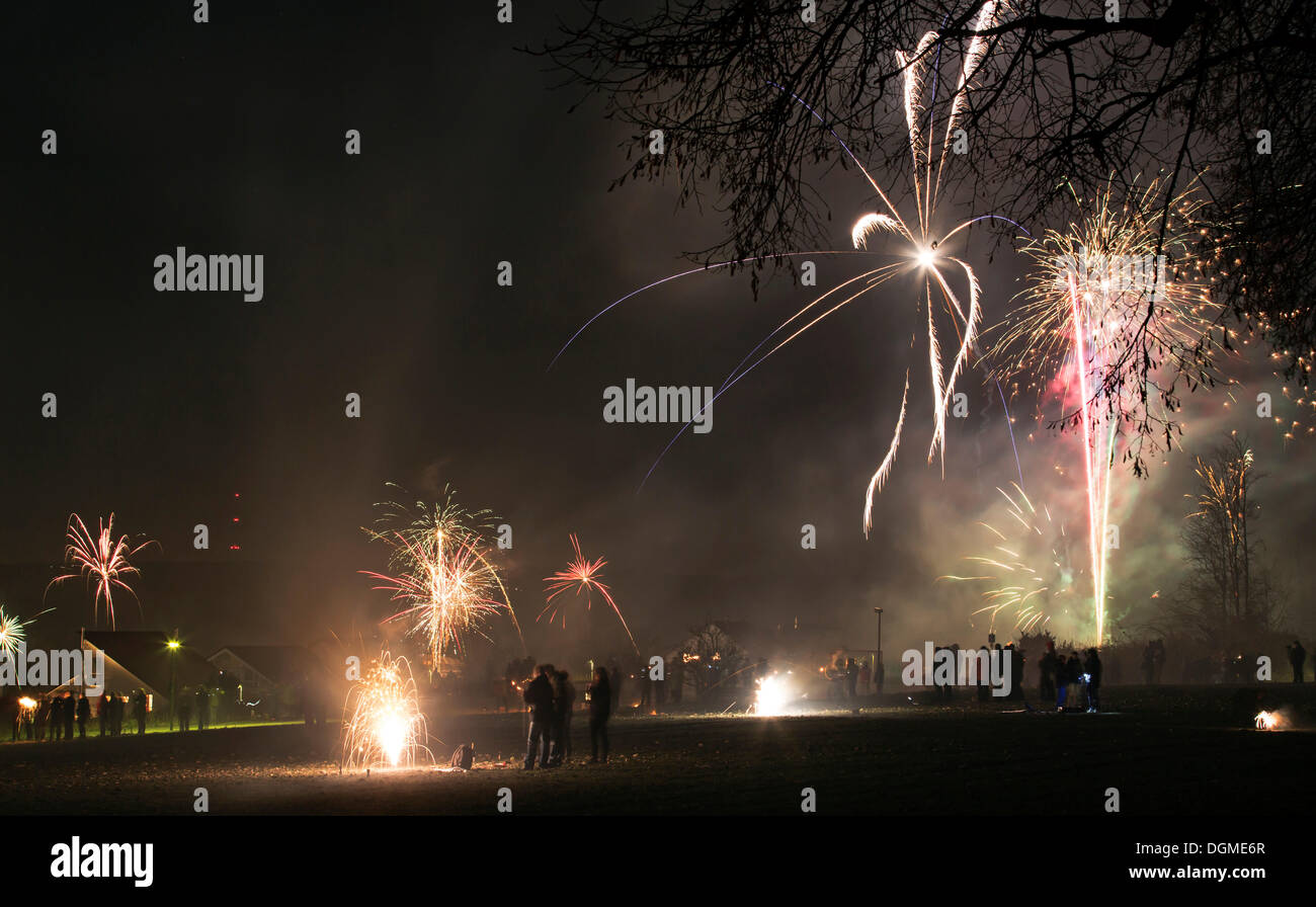 New Year's Eve fireworks, Eselsberg, Ulm, BadenWürttemberg, Germany
