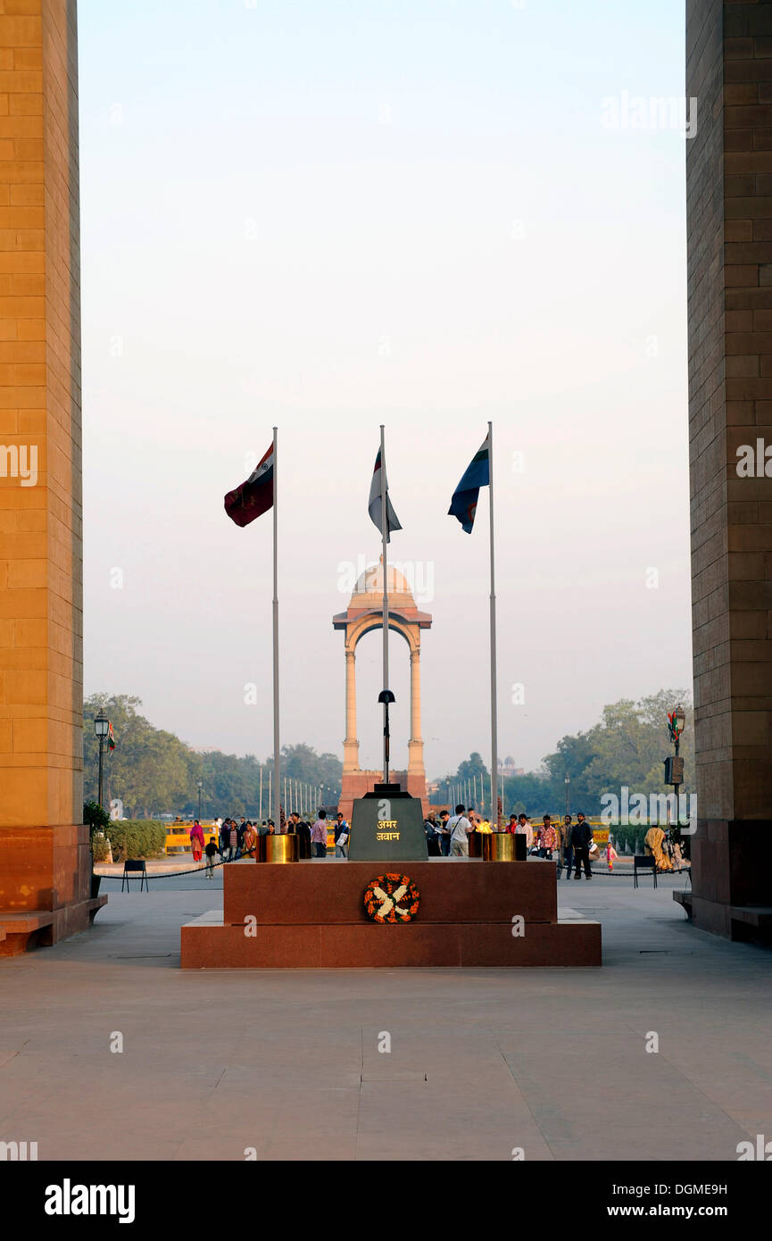 New Delhi India February 2019 Amar Jawan Jyoti Memorial At India Gate In  New Delhi Stock Photo  Download Image Now  iStock