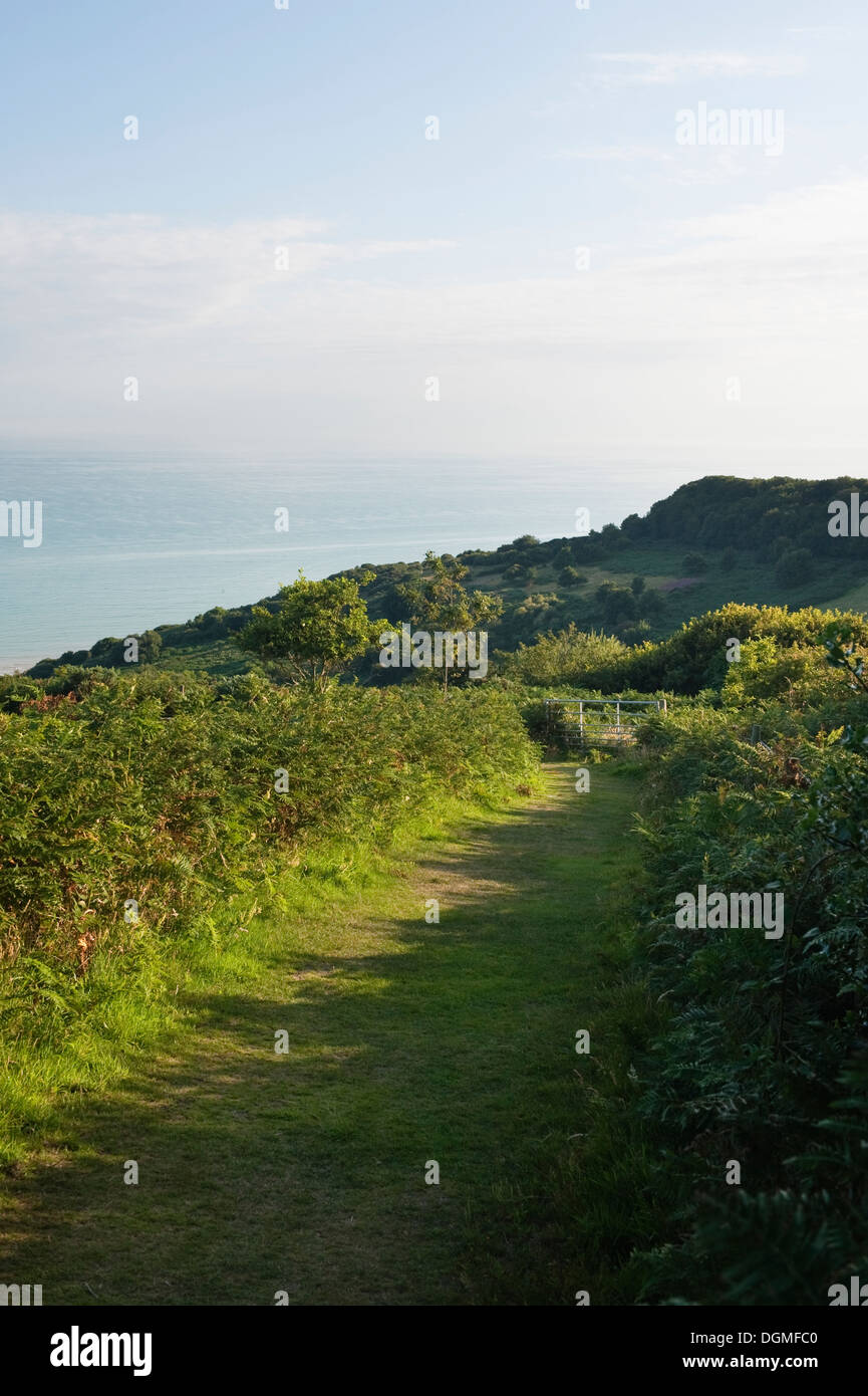 Sussex country walk hi-res stock photography and images - Alamy
