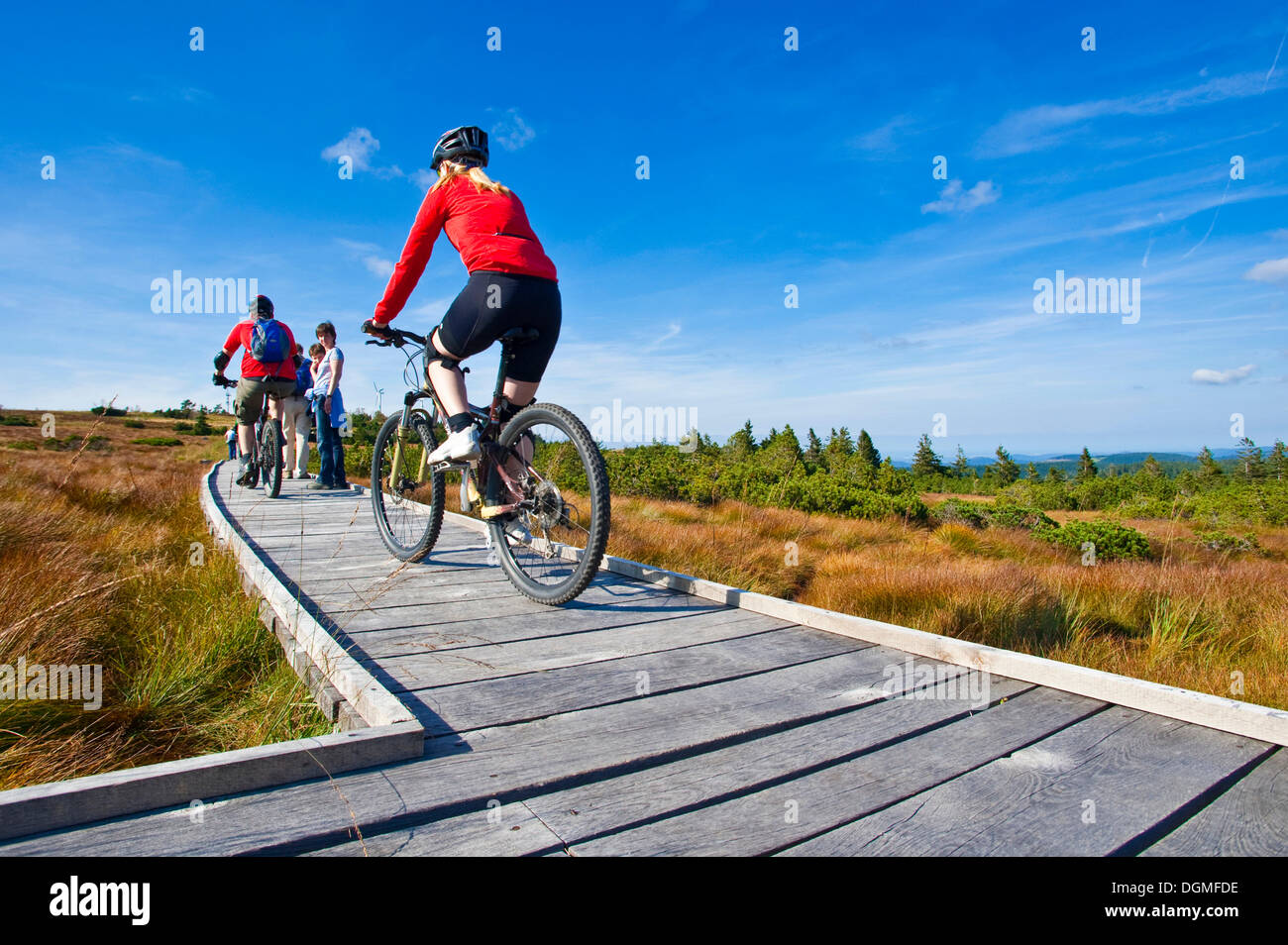 Mountain bike path boardwalk hi-res stock photography and images - Alamy