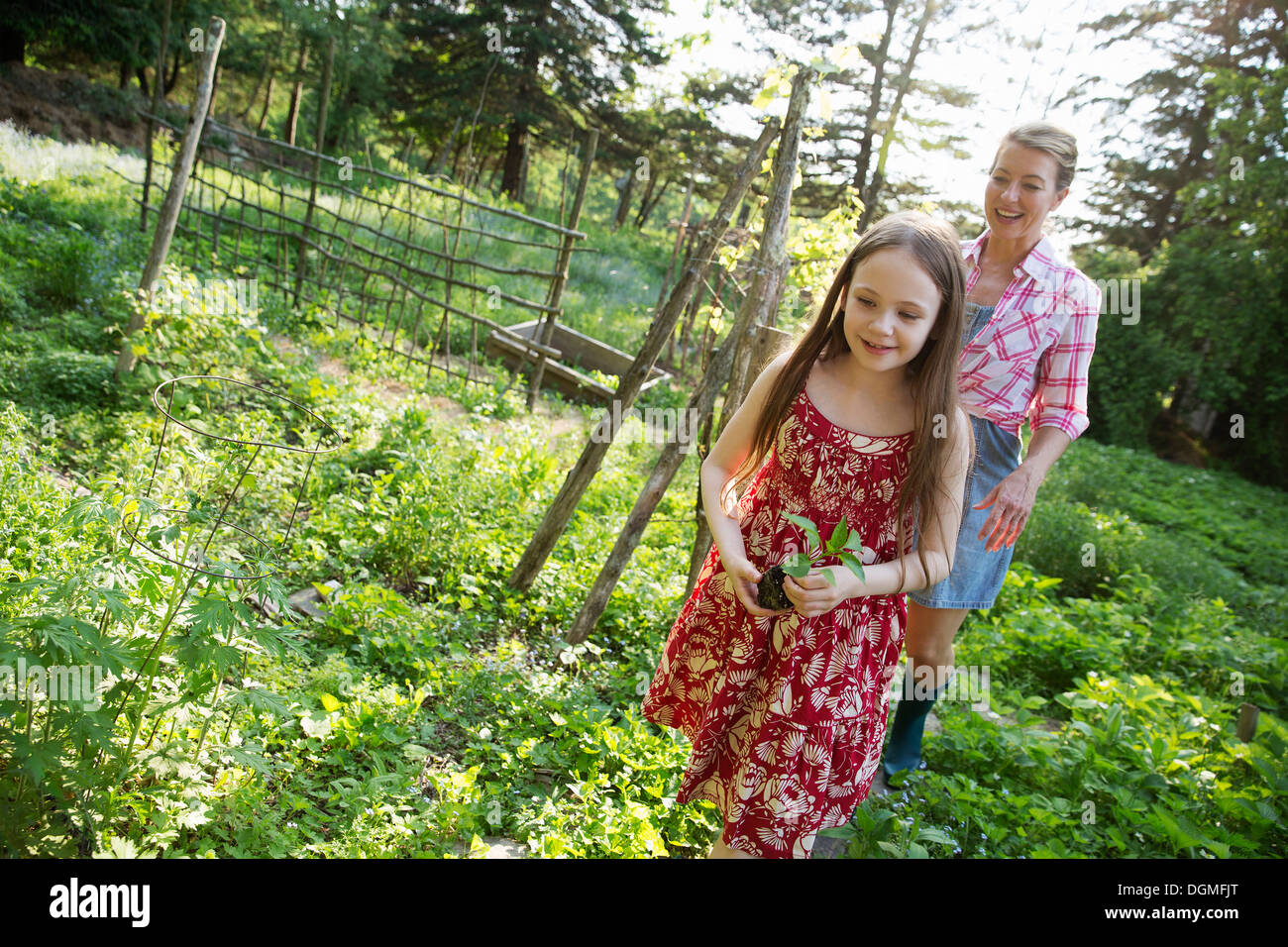A young girl holding a seedling plant, and walking through the gardens of the farm with an adult woman following. Stock Photo