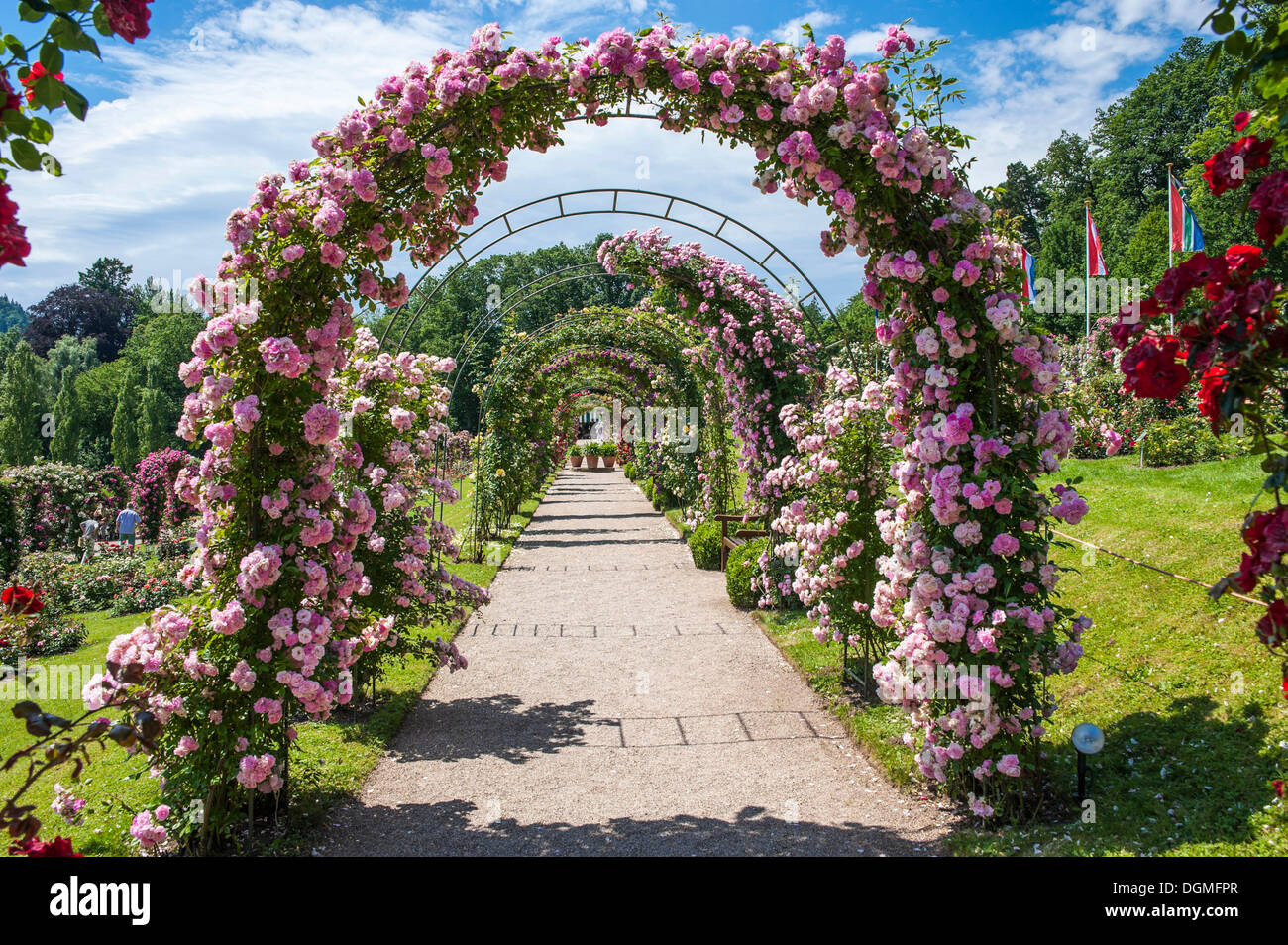 Rose arches hi-res stock photography and images - Alamy