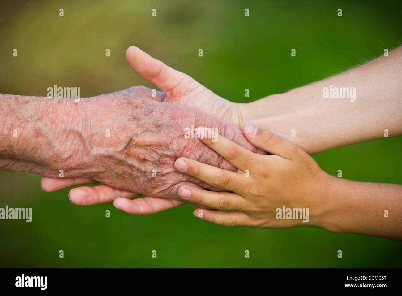 Three generations holding hands Stock Photo