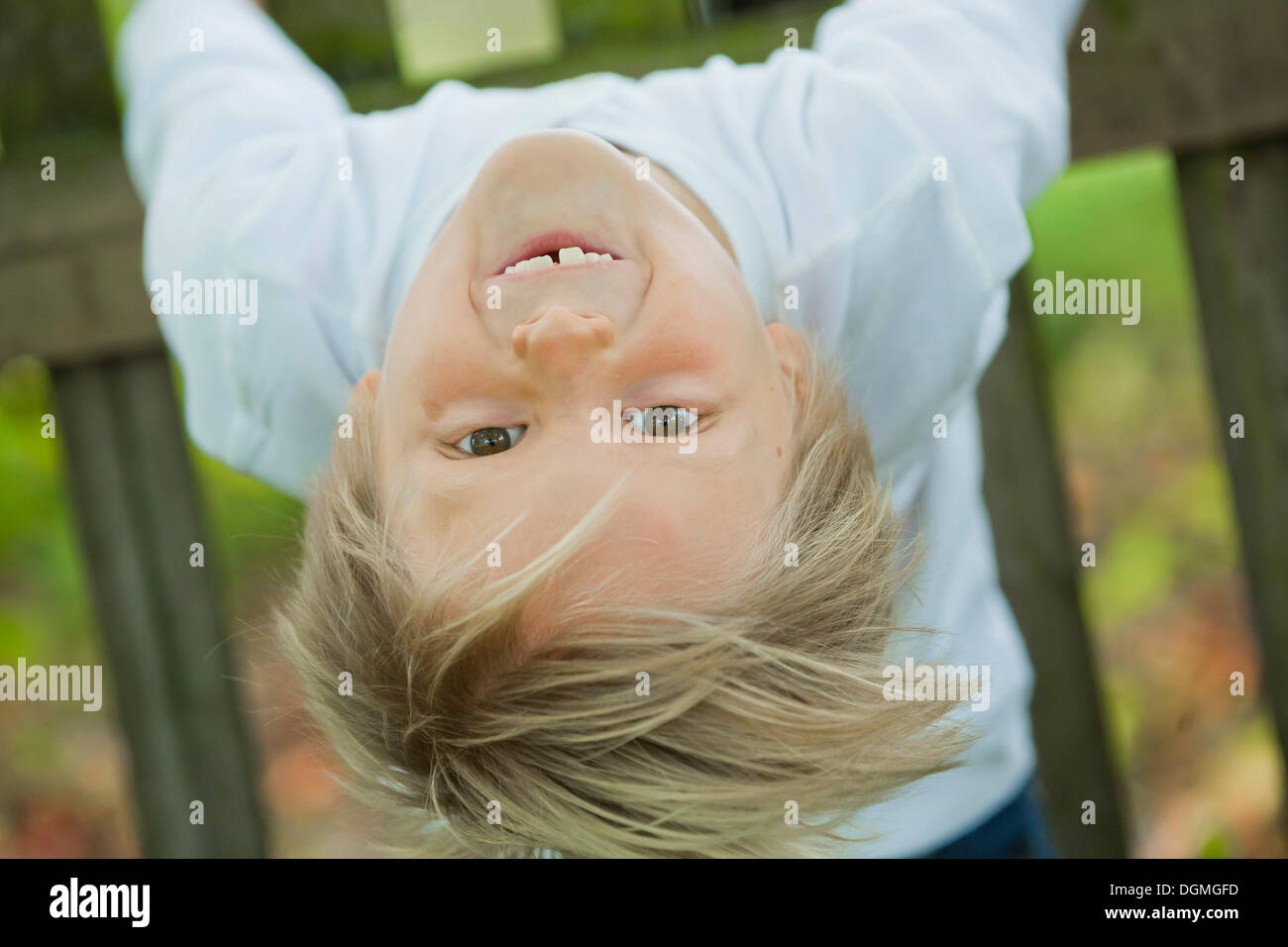 Boy, 7 years old, hanging on to a wooden fence, upside down Stock Photo
