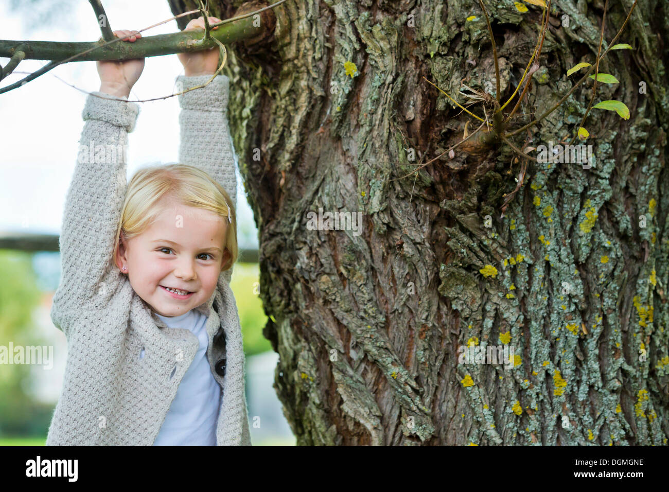 Girl, 4 years old, hanging on a branch Stock Photo
