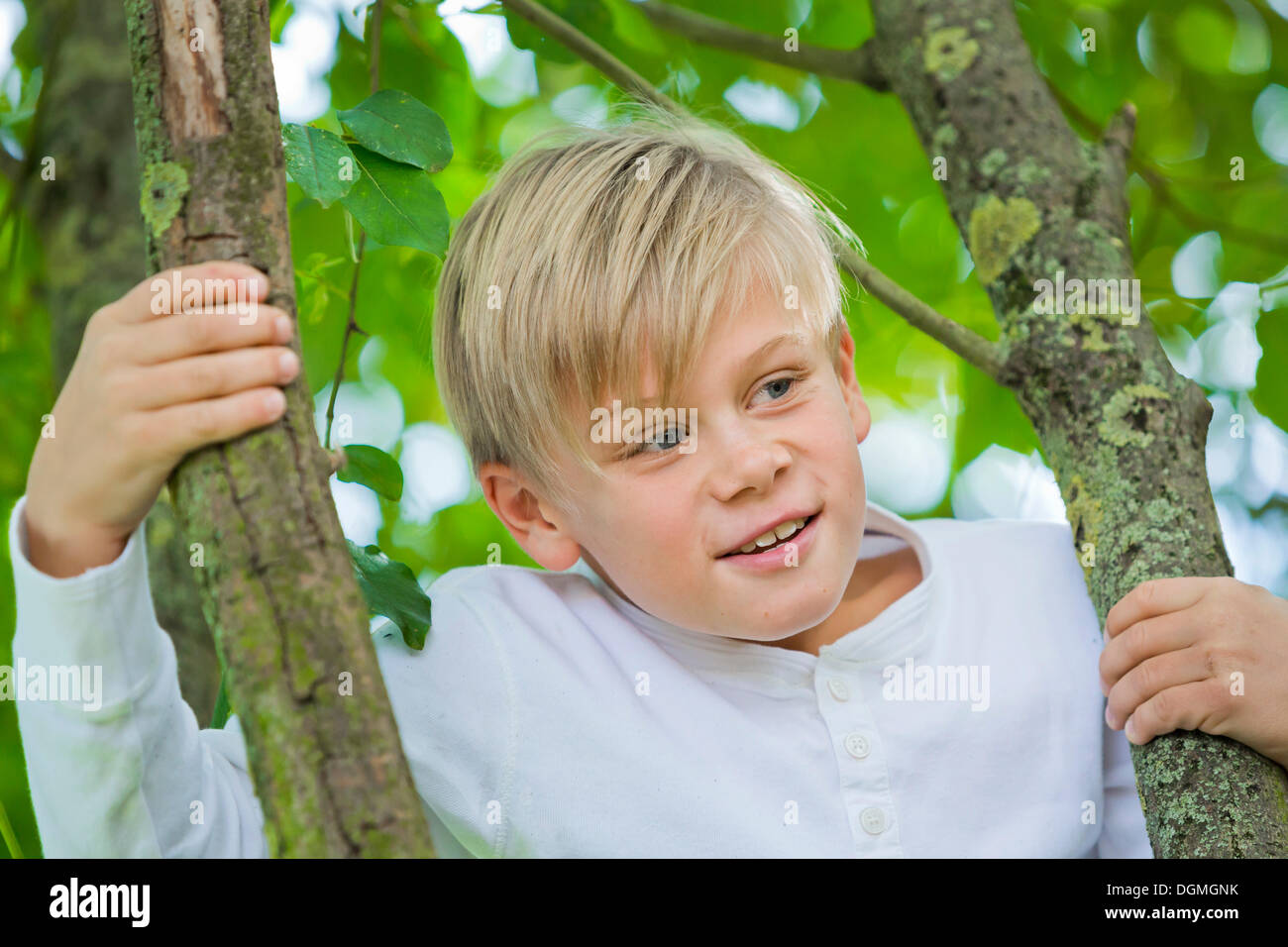 Boy, 9 years old, climbing on a tree Stock Photo