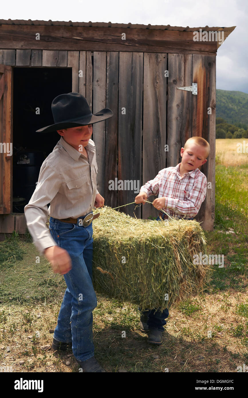 USA, Colorado, Boys collecting hay Stock Photo
