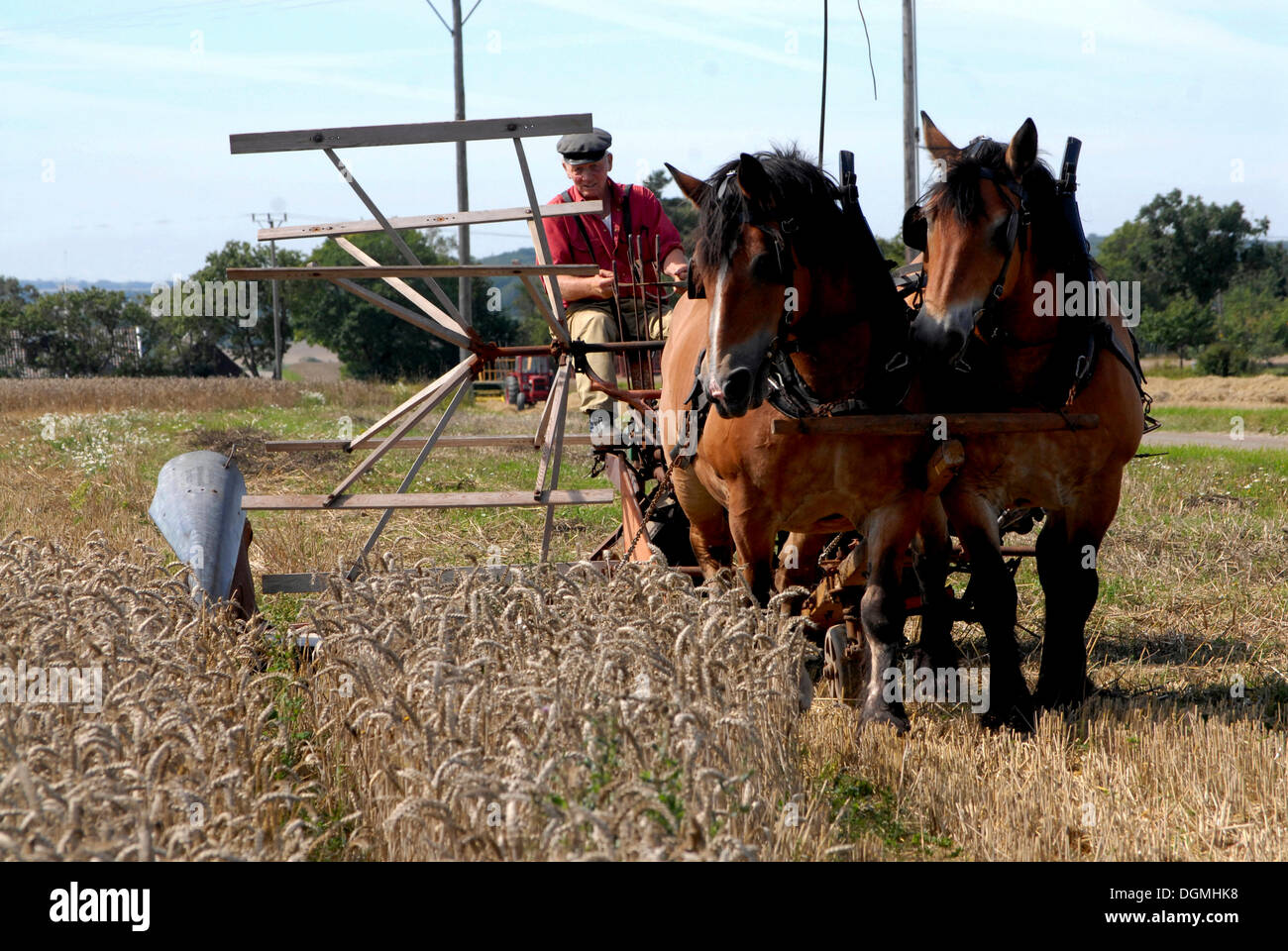 Harvest binder hi-res stock photography and images - Alamy