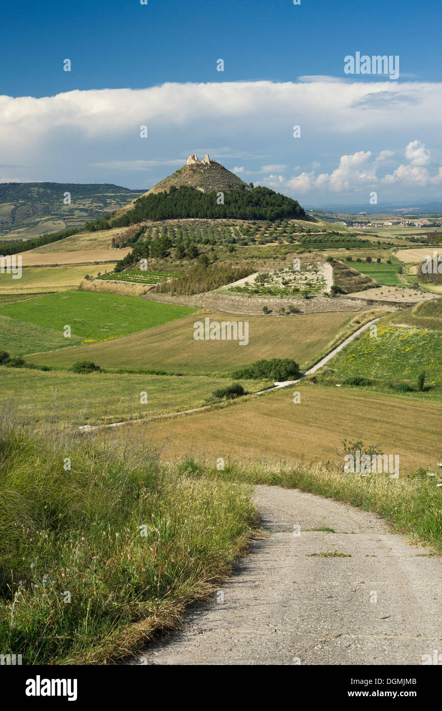 Cone-shaped mountain Las Plassas with the Spanish castle ruins of the same name in front of the basaltic plateau of Giara di Stock Photo