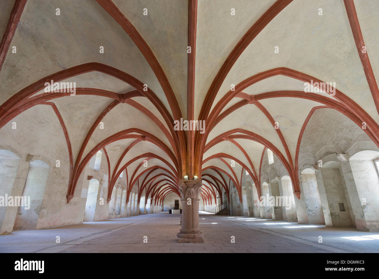 The Gothic crossribbed vault in the dormitory of Eberbach Abbey