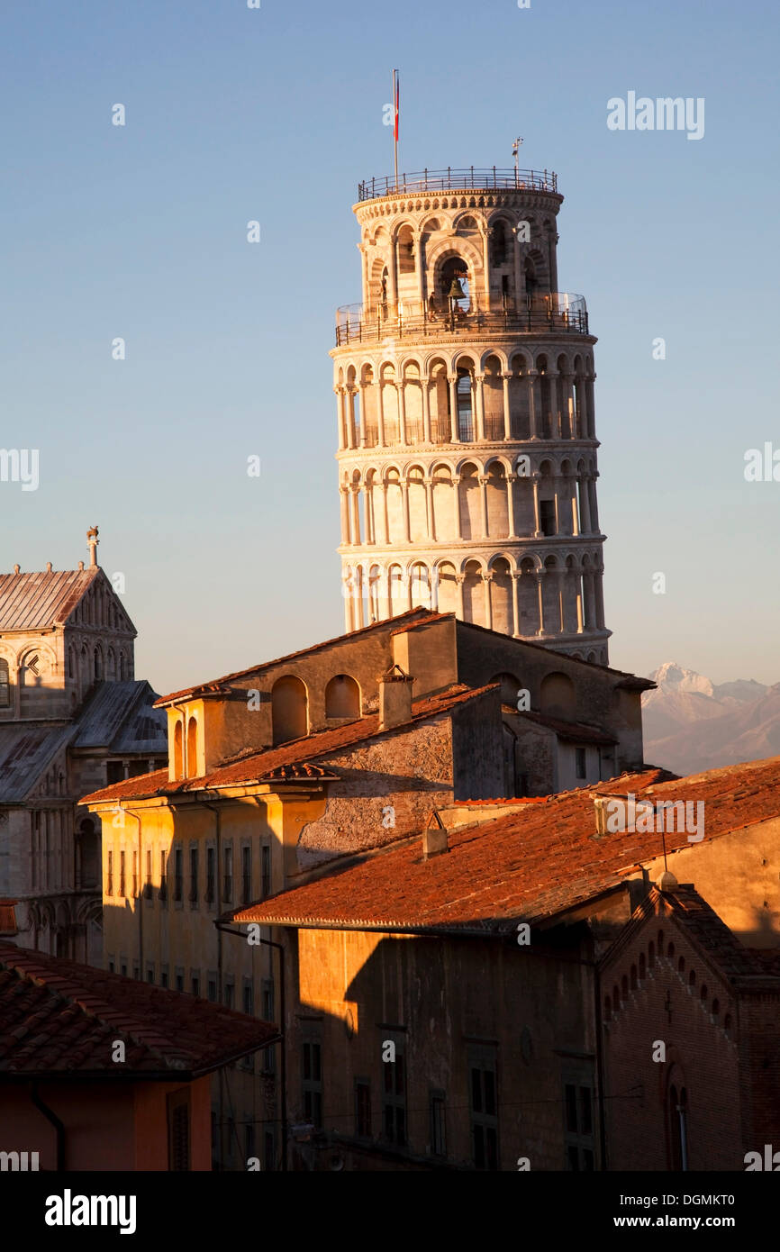 Campanile, Leaning Tower of Pisa, Pisa, Province of Pisa, Tuscany, Italy Stock Photo