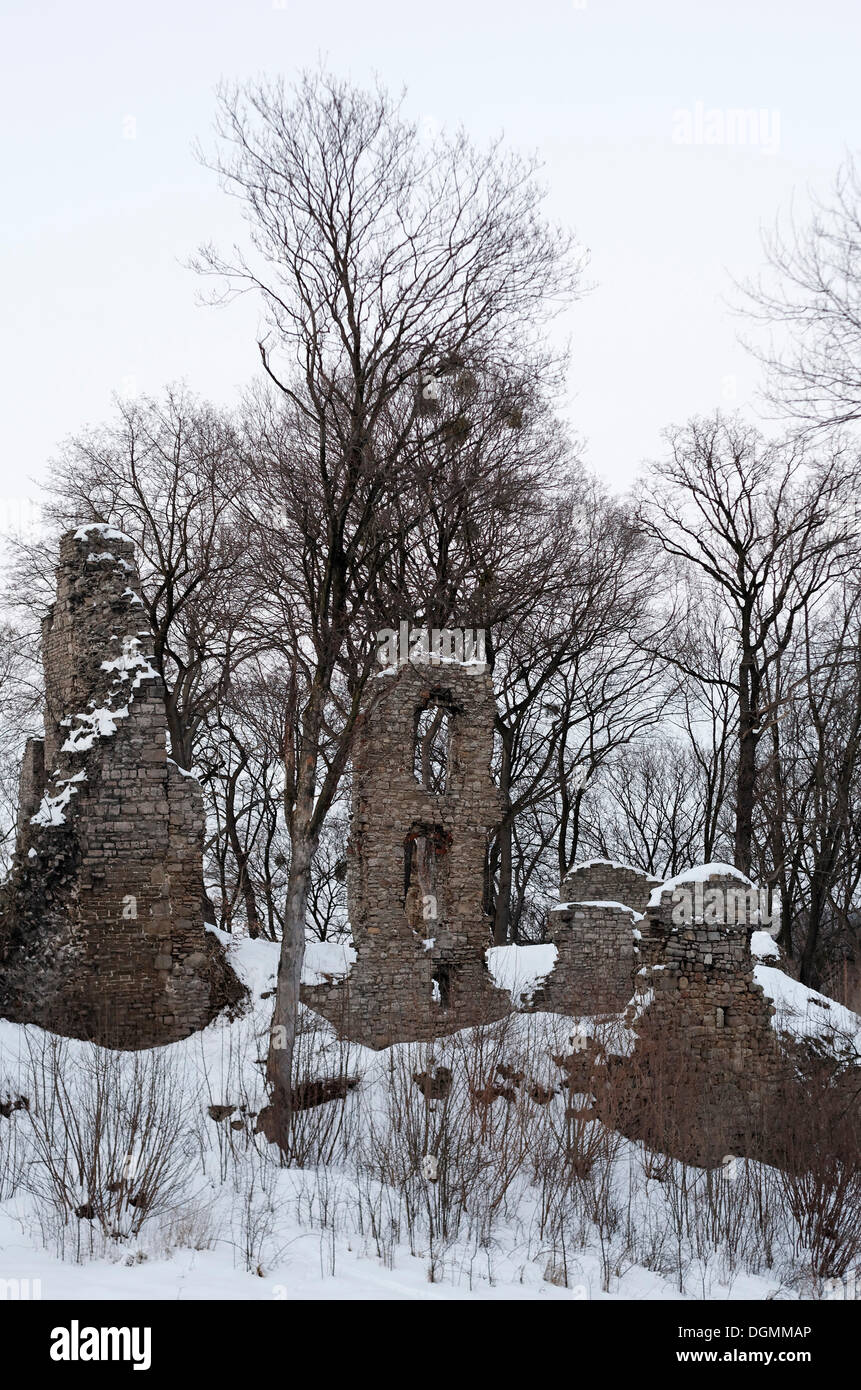 Romantic ruins in winter, Stecklenberg, Thale, Northern Harz, Saxony-Anhalt Stock Photo