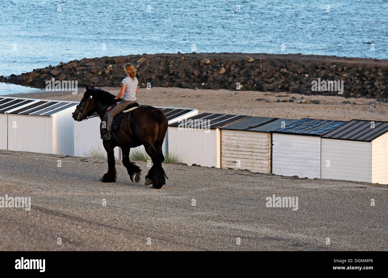 Young woman riding a heavy horse in front of white beach huts, Westkapelle, Walcheren peninsula, Zeeland province, Netherlands Stock Photo