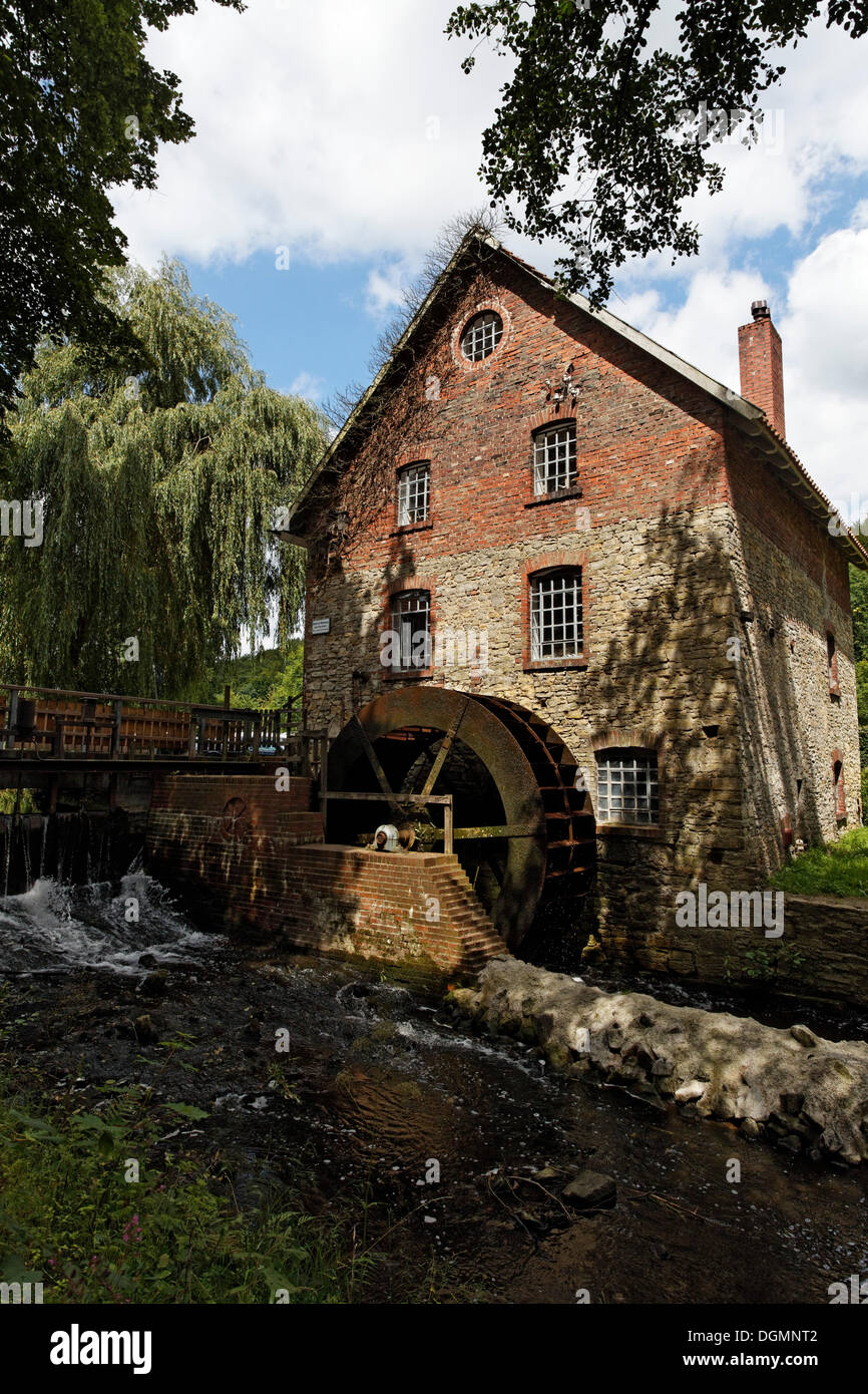 Old water mill in Nettetal valley near Osnabrueck, Lower Saxony Stock Photo