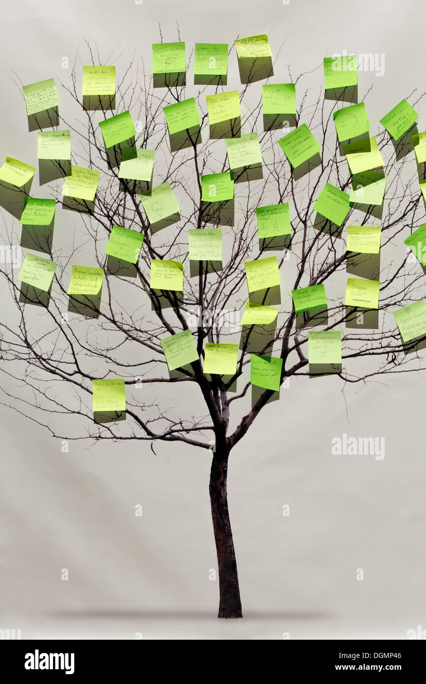 Drawn tree with leaves of green post-it notes, pinwall with a collection of eco-friendly statements from children, Ideenpark Stock Photo
