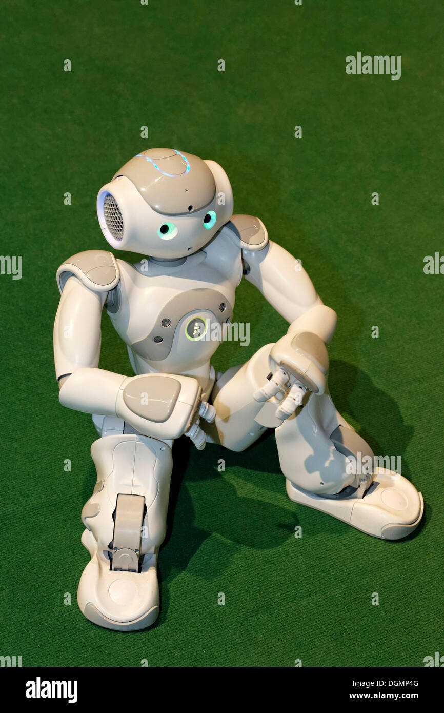 NAO sitting on the soccer field, a humanoid robot from Aldebaran Robotics, IdeenPark 2012, technology and education summit Stock Photo